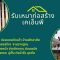 ดูโปรไฟล์ Natnaree